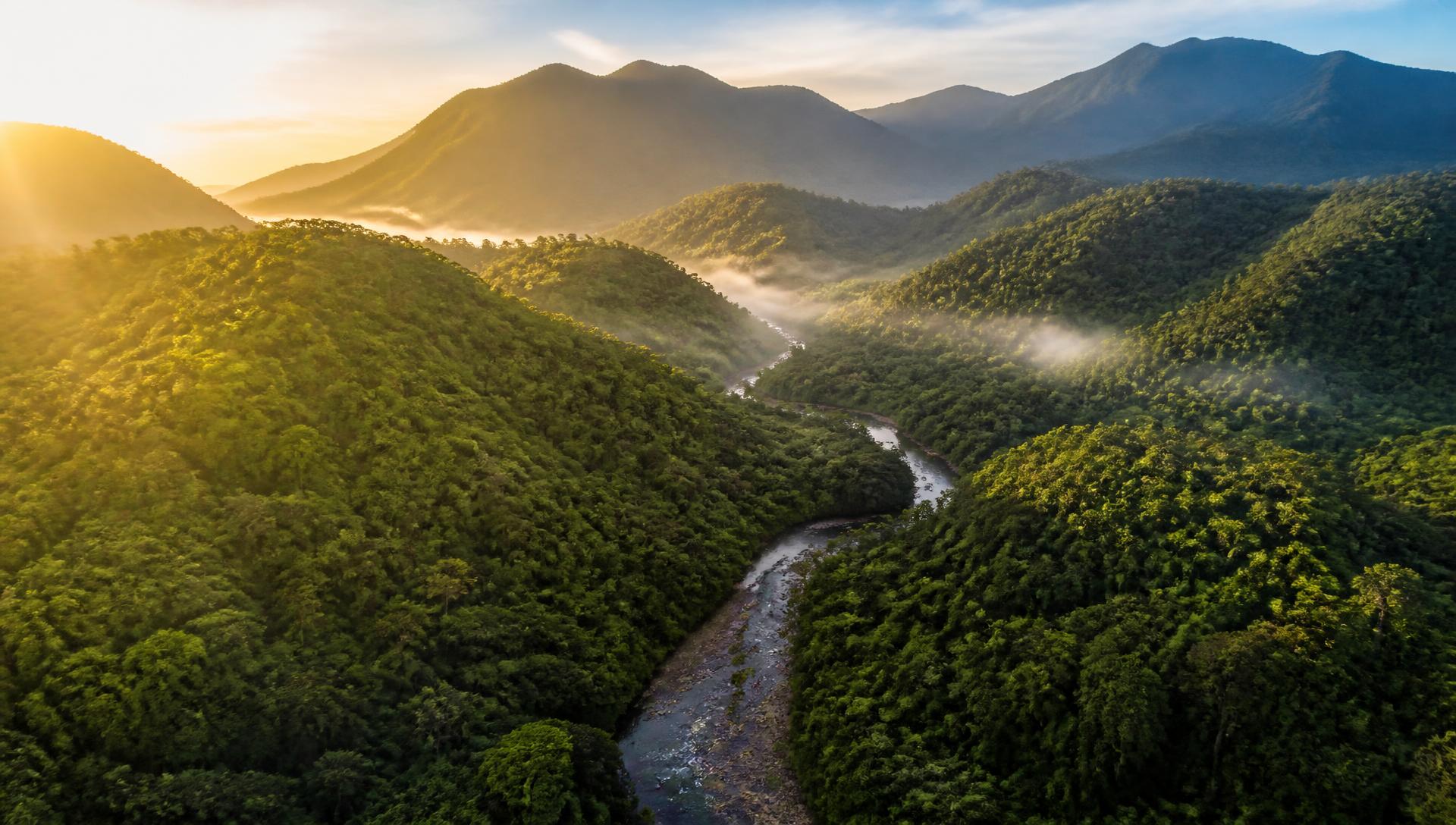 Vista aérea de floresta preservada com rio e montanhas ao amanhecer